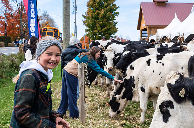 Attraction Gourmet Tour Eastern Townships