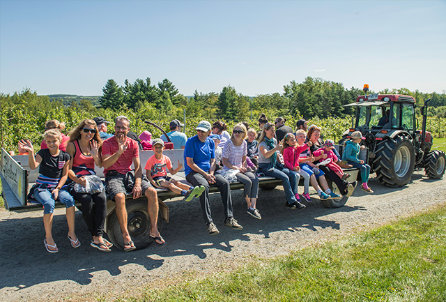 Producteur du Marché de Compton