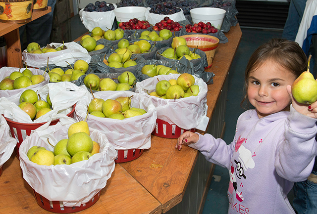 Producteur du Marché de Compton